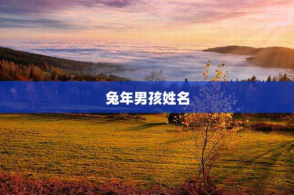 兔年男孩姓名