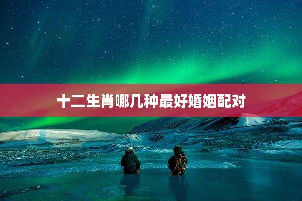 十二生肖哪几种最好婚姻配对