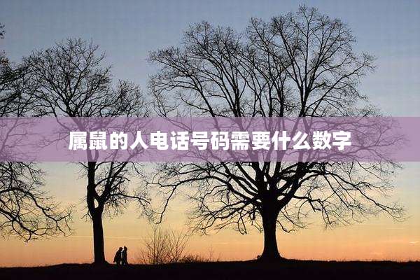 属鼠的人电话号码需要什么数字