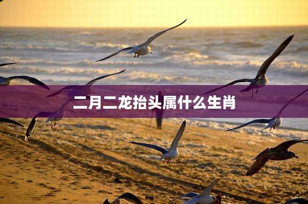二月二龙抬头属什么生肖