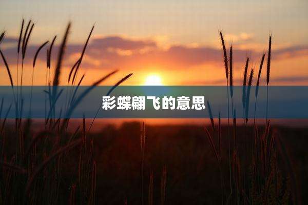 彩蝶翩飞的意思