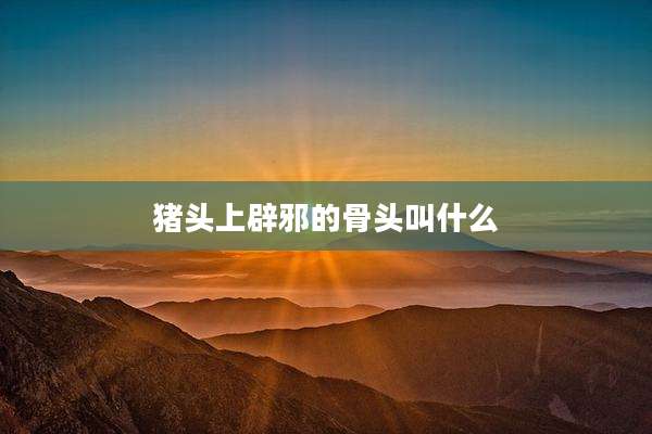 猪头上辟邪的骨头叫什么