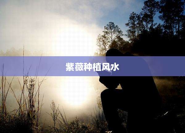 紫薇种植风水