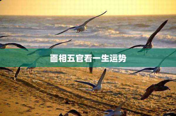 面相五官看一生运势