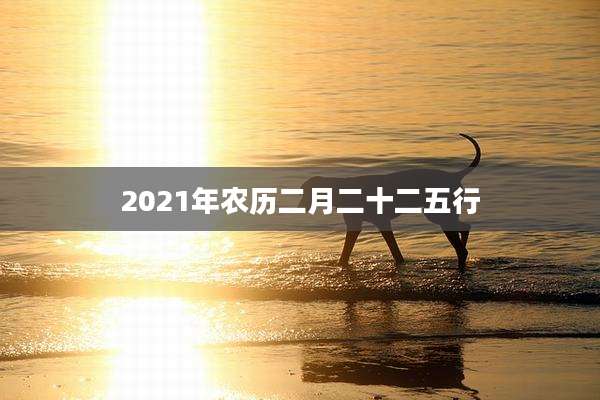 2021年农历二月二十二五行