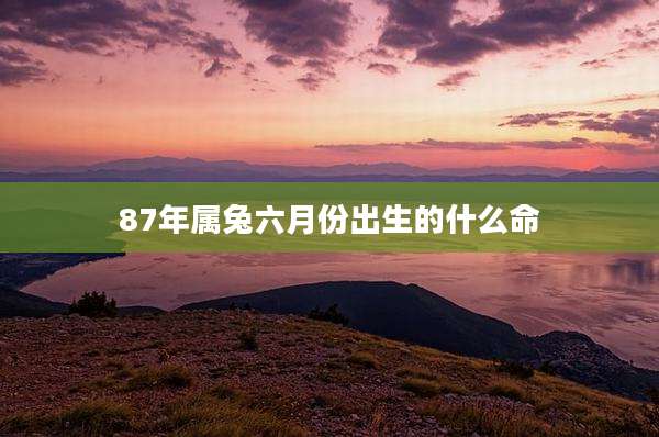 87年属兔六月份出生的什么命