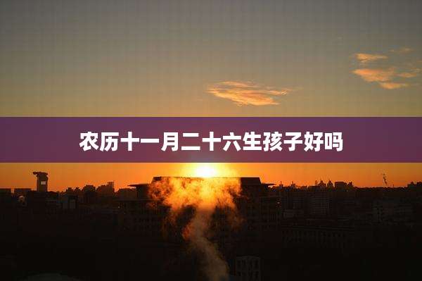 农历十一月二十六生孩子好吗