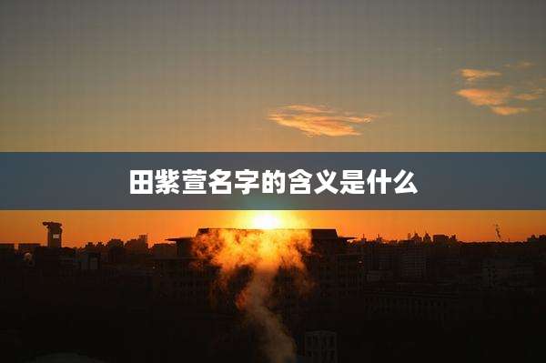 田紫萱名字的含义是什么