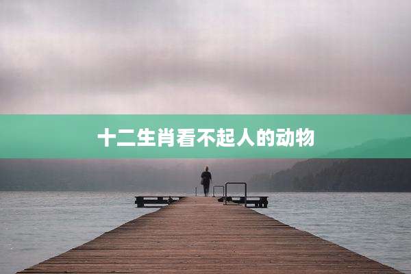 十二生肖看不起人的动物