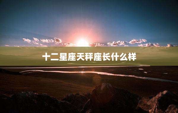 十二星座天秤座长什么样