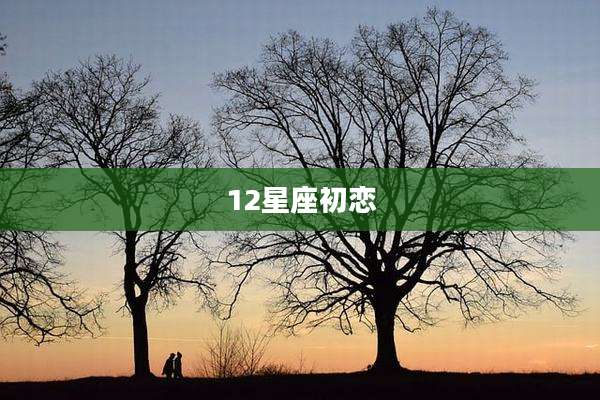 12星座初恋