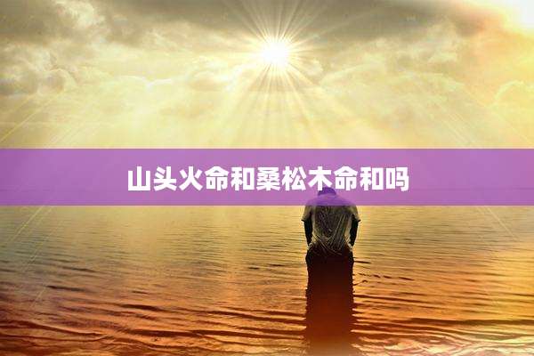 山头火命和桑松木命和吗