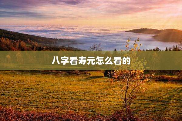 八字看寿元怎么看的