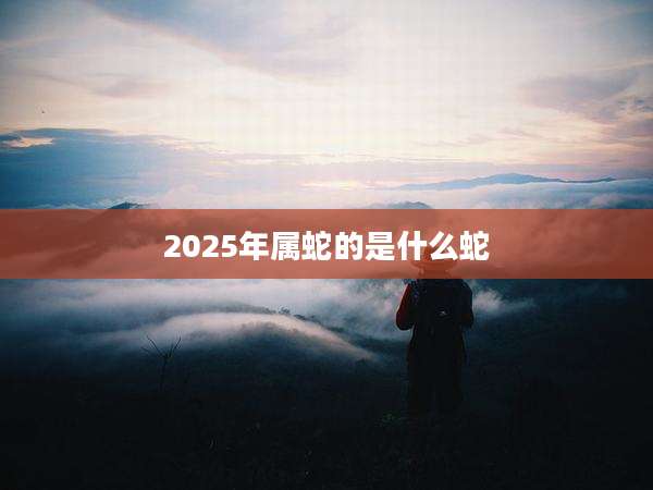 2025年属蛇的是什么蛇