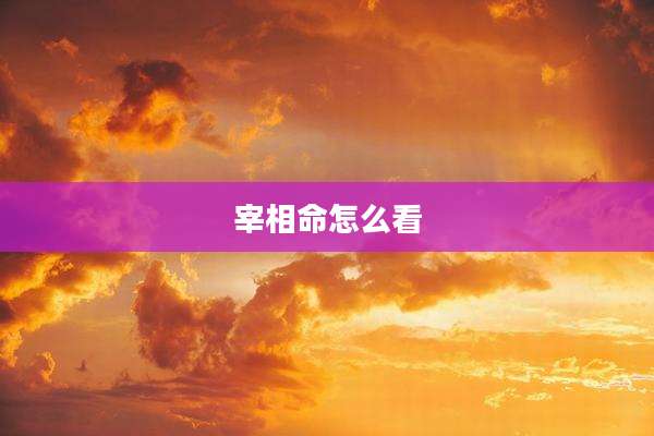 宰相命怎么看