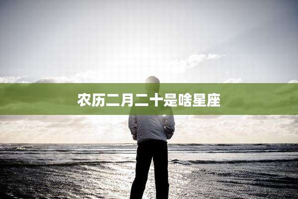 农历二月二十是啥星座