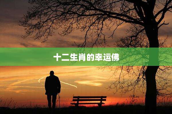 十二生肖的幸运佛