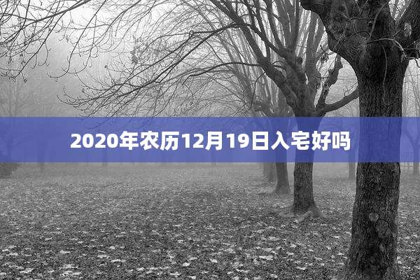 2020年农历12月19日入宅好吗