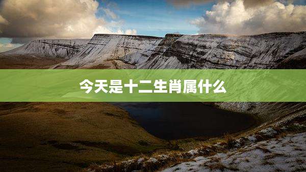 今天是十二生肖属什么
