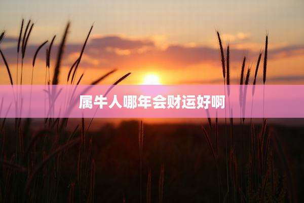 属牛人哪年会财运好啊
