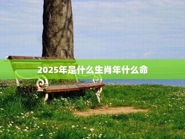 2025年是什么生肖年什么命