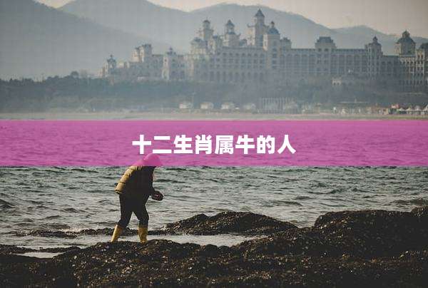 十二生肖属牛的人
