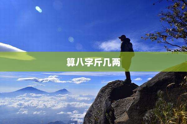 算八字斤几两