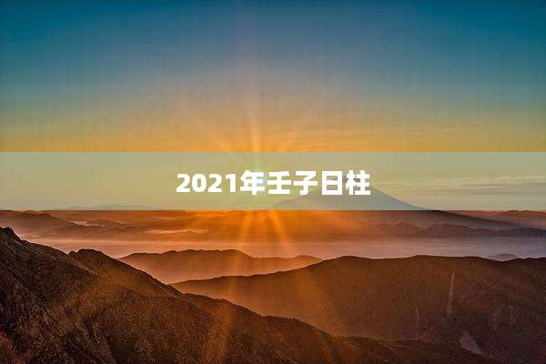 2021年壬子日柱