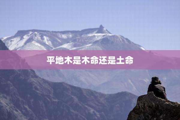 平地木是木命还是土命