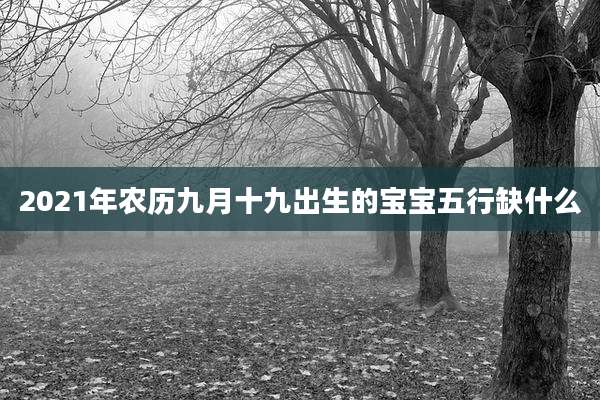 2021年农历九月十九出生的宝宝五行缺什么