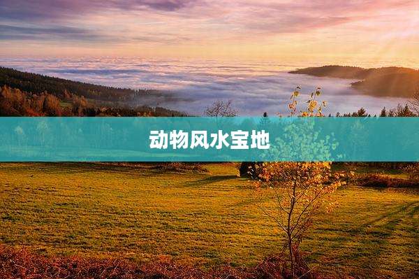 动物风水宝地