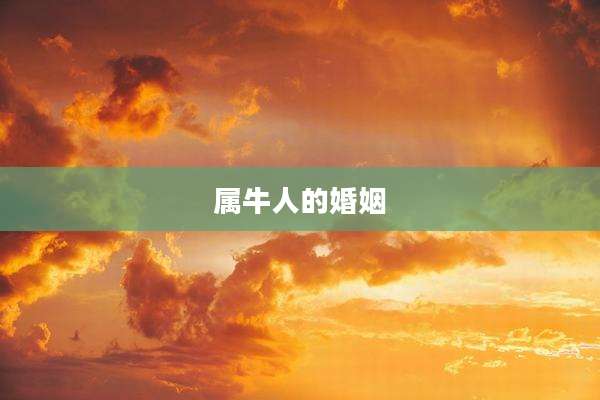 属牛人的婚姻