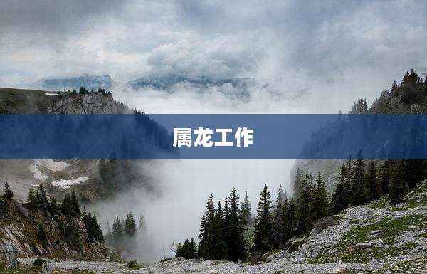 属龙工作