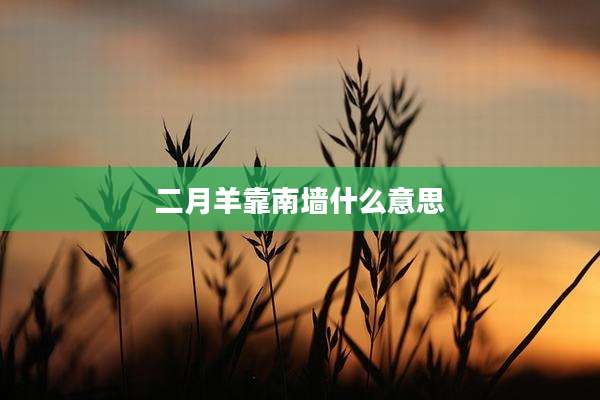 二月羊靠南墙什么意思