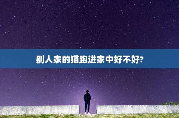 别人家的猫跑进家中好不好?