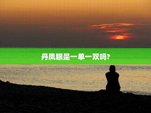 丹凤眼是一单一双吗?