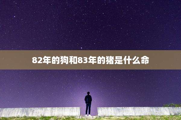 82年的狗和83年的猪是什么命