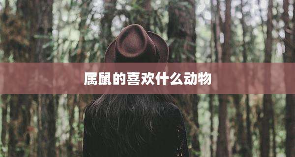 属鼠的喜欢什么动物