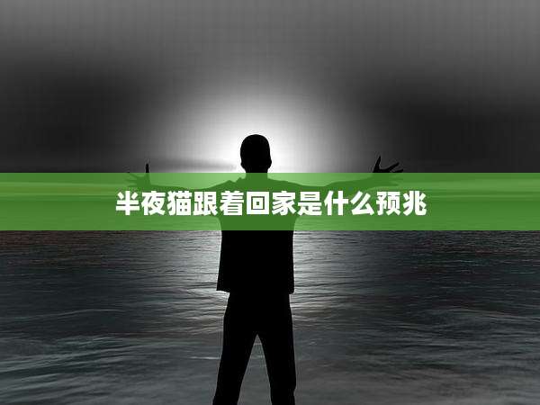 半夜猫跟着回家是什么预兆