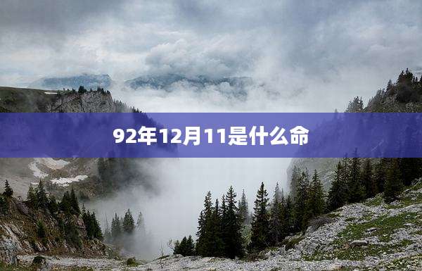 92年12月11是什么命