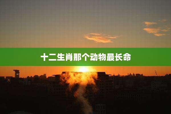 十二生肖那个动物最长命