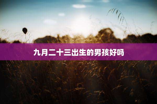 九月二十三出生的男孩好吗