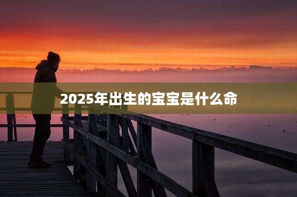 2025年出生的宝宝是什么命