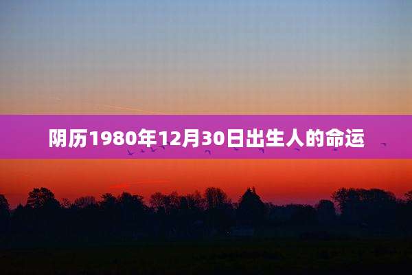 阴历1980年12月30日出生人的命运