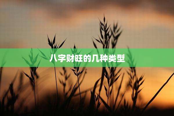 八字财旺的几种类型
