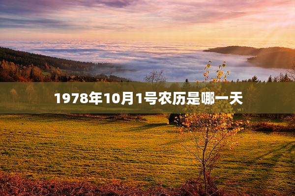 1978年10月1号农历是哪一天