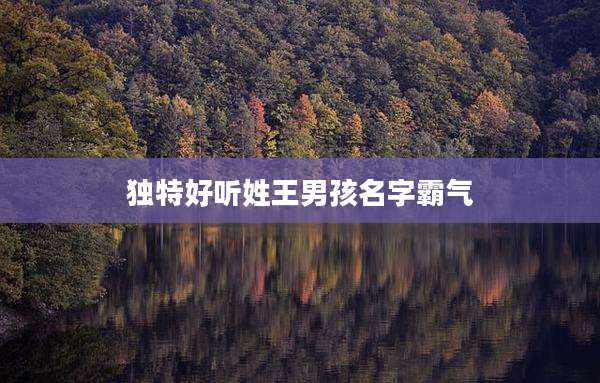 独特好听姓王男孩名字霸气