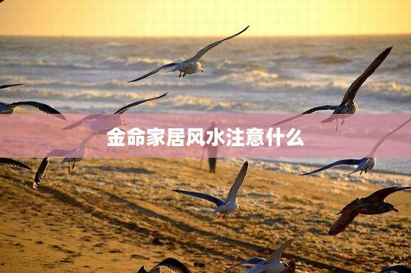 金命家居风水注意什么