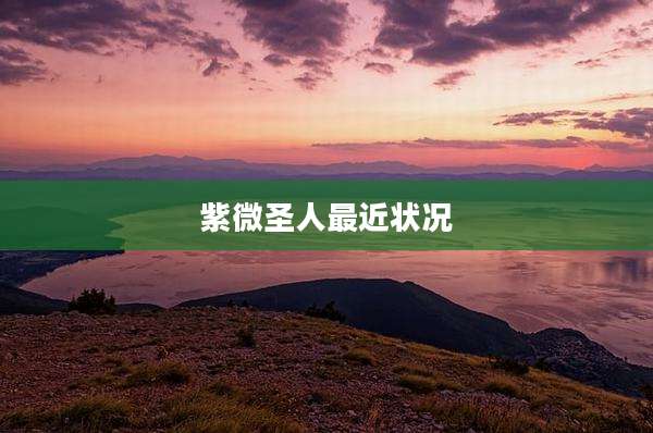 紫微圣人最近状况