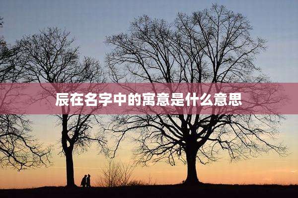 辰在名字中的寓意是什么意思